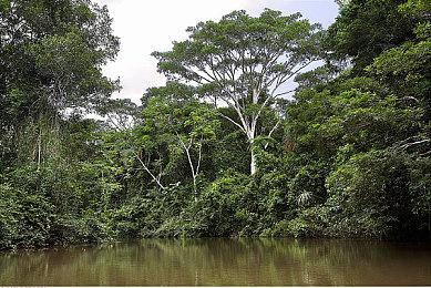 《黑神话》开发团队只有140人 国外推主狂赞太高效